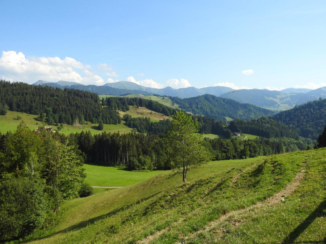 Ferienwohnungen Am Schlossberg Oberstaufen Dış mekan fotoğraf